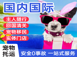 伊春机场货运国际宠物托运 【国